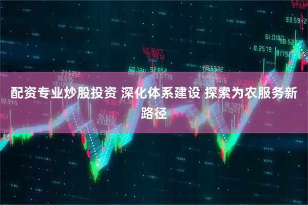 配资专业炒股投资 深化体系建设 探索为农服务新路径
